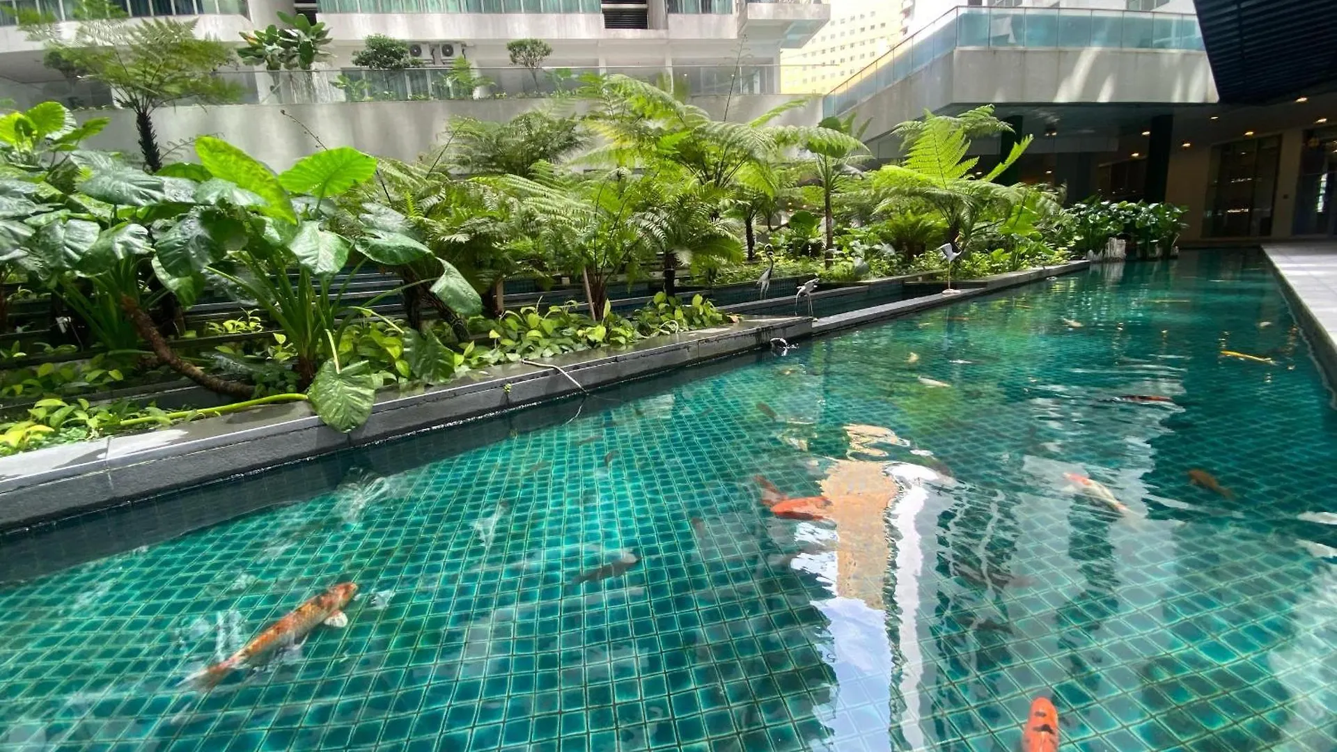 Infinity Skypool Hostel Kuala Lumpur 0*,
